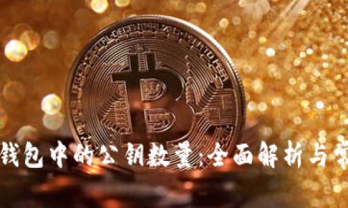 比特币钱包中的公钥数量：全面解析与常见问题
