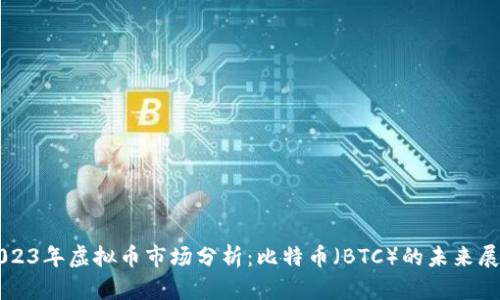 2023年虚拟币市场分析：比特币（BTC）的未来展望
