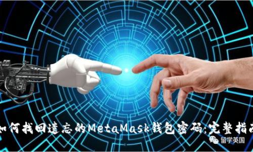 如何找回遗忘的MetaMask钱包密码：完整指南