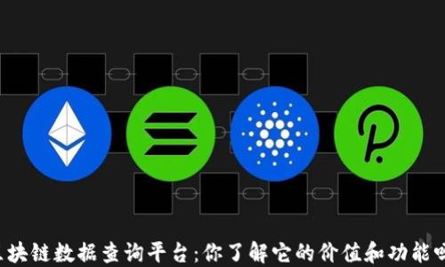 
区块链数据查询平台：你了解它的价值和功能吗？
