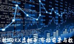 深入解析MDKX虚拟币：市场前景与投资策略