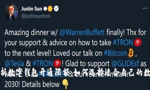 全面解析数字钱包开通限额：如何选择适合自己的数字钱包