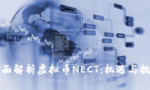 全面解析虚拟币NECT：机遇与挑战