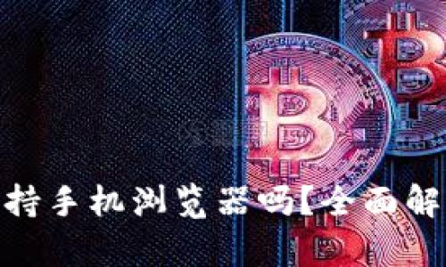 MetaMask支持手机浏览器吗？全面解析与使用指南