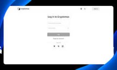 虚拟币团队工资结构及其影响因素解析