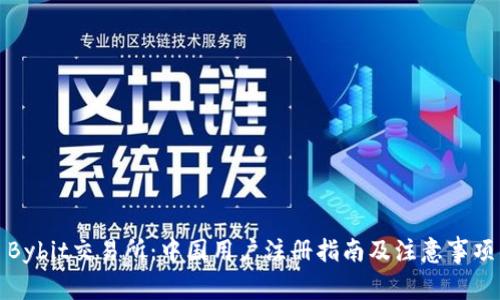 Bybit交易所：中国用户注册指南及注意事项