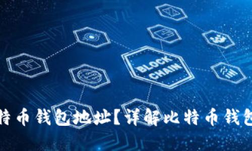 如何安全地使用比特币钱包地址？详解比特币钱包的种类及其安全性